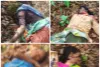 गुंजेवाहीच्या जंगलात वाघाचा भयानक हल्ला एकाच वेळी चार महिलांचा मृत्यू