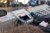 वडिगोद्रीजवळ जांभळांनी भरलेले पिकअप पलटी; रस्त्यावर विखुरलेल्या जांभळांवर नागरिकांची झडप