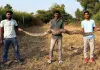 दहा फुटाच्या अजगराला सर्पमित्राने दिले जीवदान 
