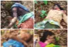 गुंजेवाहीच्या जंगलात वाघाचा भयानक हल्ला एकाच वेळी चार महिलांचा मृत्यू