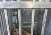 अखेर दोन वर्षांची मादी बिबट जेरबंद..!