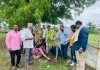 एक पेड पिता के नाम ' उपक्रमातून पितृस्मृतीला हरित अभिवादन