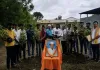 स्मृतींना उजाळा...अन् मातीला हिरवाईची सलामी..!