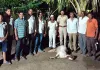पळसवाडीत बिबट्याचा धुमाकूळ; शेळीवर हल्ला करून ठार