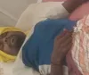 तेंदु पत्ता संकलन करणाऱ्या मजुरावर अस्वलाचा हल्ला गंभीर जखमी