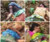 गुंजेवाहीच्या जंगलात वाघाचा भयानक हल्ला एकाच वेळी चार महिलांचा मृत्यू