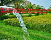 तासभरही थ्री पेज लाइटच टिकेना, पिके जगवावी कशी?; करडा खडकी सदार येथील शेतकऱ्यांन समोर मोठे संकट