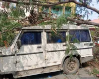 श्री मारुती मंदिरा समोरील उंच सुबाभळीचे झाड उभ्या चारचाकीवर कोसळले : विजेचे ही शॉर्ट सर्किट : कवठे येमाईत उमेदवार मात्र थोडक्यात बचावले 