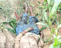 वाघाच्या हल्ल्यात शेतकरी महिला ठार..!