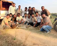 सिने स्टाईल मगराला पकडण्यात यश ; अपास संस्थेचे रेस्क्यू यशस्वी