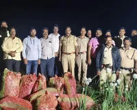 धाराशिव जिल्ह्यात पुन्हा अफूच्या शेतीवर छापा