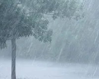 राधानगरी तालुक्यात गारांसह पाऊस..!