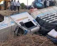 वडिगोद्रीजवळ जांभळांनी भरलेले पिकअप पलटी; रस्त्यावर विखुरलेल्या जांभळांवर नागरिकांची झडप