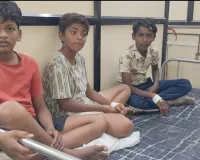 हाणेगाव आश्रमशाळेत चिकन भोजनातून ३२ विद्यार्थ्यांना विषबाधा; तहसीलदार आणि समाज कल्याण अधिकाऱ्यांची रुग्णालयात धाव.