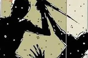 संतापलेल्या जावयानं आपल्या सासूला दिली जीवघेणी  शिक्षा