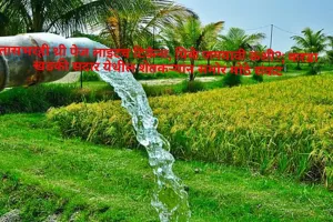 तासभरही थ्री पेज लाइटच टिकेना, पिके जगवावी कशी?; करडा खडकी सदार येथील शेतकऱ्यांन समोर मोठे संकट