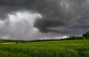 जिल्ह्यात मेघगर्जनेसह वादळाचा अलर्ट! पुढील तीन तासात हवामान खात्याचा इशारा