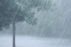 राधानगरी तालुक्यात गारांसह पाऊस..!