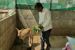 आडगाव येथे जखमी अवस्थेत हरणास दिले जीवनदान 