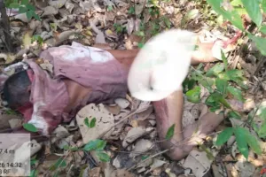 वाघाच्या हल्ल्यात शेतकरी ठार