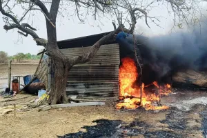 शेतकऱ्याच्या गोठ्याला आग अंदाजे चार लाखाचे नुकसान आल्फर येथील घटना