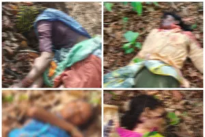 गुंजेवाहीच्या जंगलात वाघाचा भयानक हल्ला एकाच वेळी चार महिलांचा मृत्यू