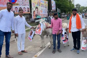 गद्दार खासदारांची गाढवावरून धिंड..! 
