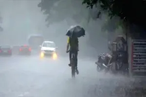 29 जुलै रोजी शाळा महाविद्यालयांना सुट्टी जाहीर; जिल्हाधिका-यांनी निर्गमित केले आदेश