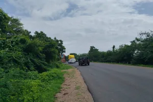 देगलूर-नांदेड महामार्गावर वझरगा येथील मण्याड नदीच्या वळणावर अपघाताचे सावट; झाडे-झुडपांमुळे वाहनधारकांचे जीव धोक्यात!