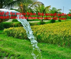 तासभरही थ्री पेज लाइटच टिकेना, पिके जगवावी कशी?; करडा खडकी सदार येथील शेतकऱ्यांन समोर मोठे संकट